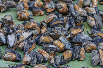 Dried abalone for sale at a Chinese market in Xiamen, China