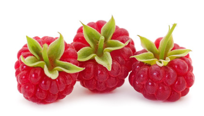 Ripe red raspberries.