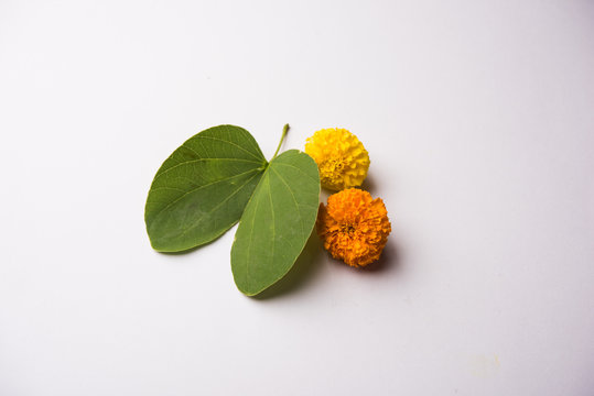 Indian Festival Greeting Card - Happy Dussehra, showing golden leaf and flowers on moody background. .