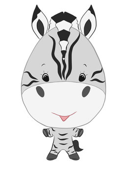 Cute gray boy zebra, little cheerful animal