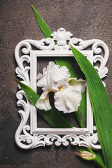 White Colored Iris Flower top view
