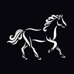 Graceful horse of white lines and curls on a black background © YuliaRafael Nazaryan