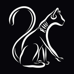 Cat with ornaments on the neck and ears, white outline on a black background