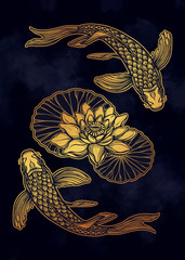 Ethnic fish Koi carp with water lotus flowers