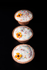 Homemade traditional Easter cake on a dark background