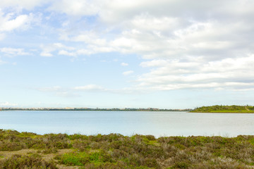 Tropical coast, beach