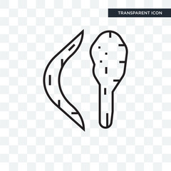 Boomerang vector icon isolated on transparent background, Boomerang logo design