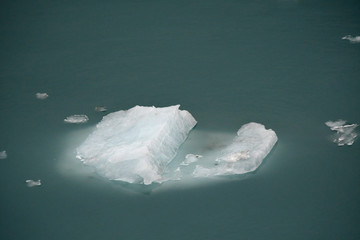 Turquoise blue glacial iceberg fragments in a sea of green