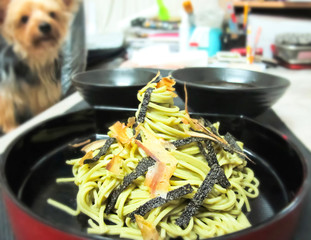 Yorkshire Terrier Looking at Zaru Ramen Noodle with dried seaweed and Dried Bonito Katsuo Bushi Japanese Food