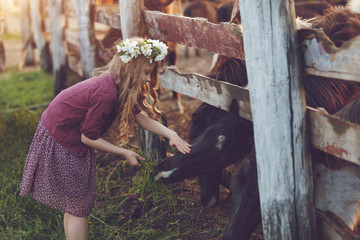 Cute little blonde girl with wreath of flowers playing  near horses ponies in the stables over sunset
