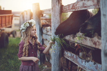 Cute little blonde girl with wreath of flowers playing  near horses ponies in the stables over sunset