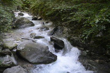 tratti di natura