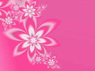 Fractal flowers on a bright pink background