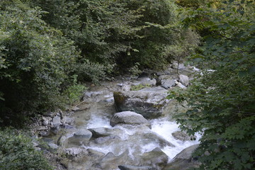 tratti di natura