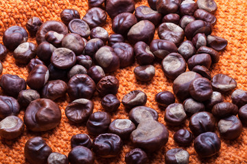 Many chestnuts on a knitted orange background