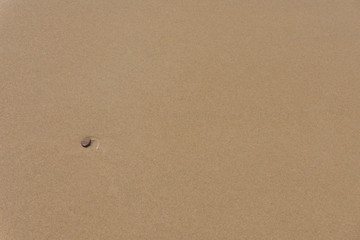 Sand Strand
