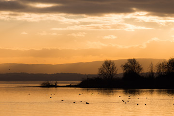 Beautiful view of a lake at sunset, with orange tones, birds on water and trees