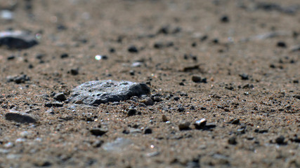 Abstract ground texture background. Sand.