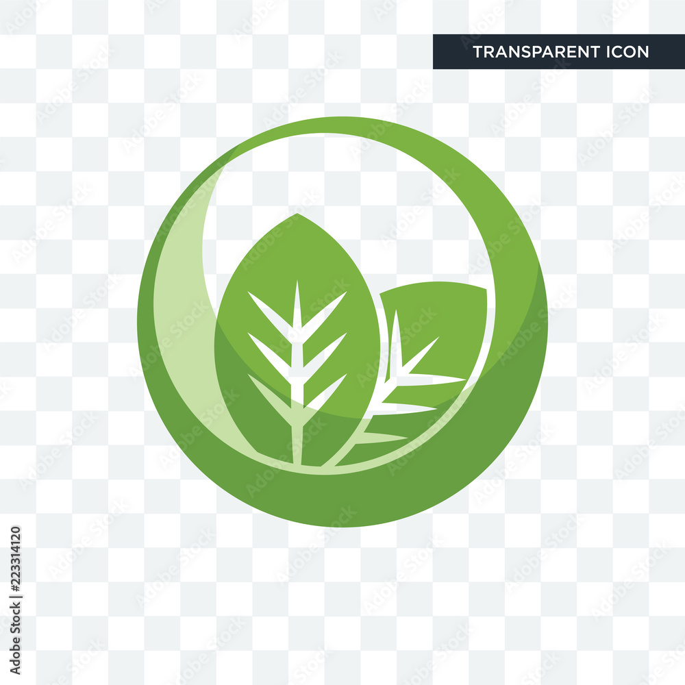 Poster leaf vector icon isolated on transparent background, leaf logo design