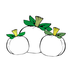 Happy pumpkin banner.Autumn greeting card with hand drawn pumpkin Vector illustration for banner