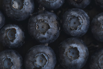 Close up on a bunch of blueberries