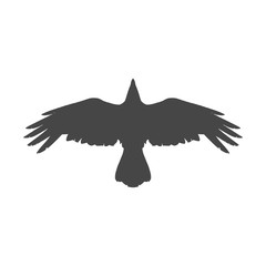 Fototapeta premium Silhouette of a flying crow isolated on white