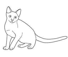 vector, isolated sketch of a cat on a white background