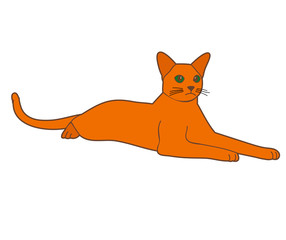 vector isolated cat lay