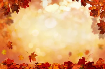 Foto auf Acrylglas Herbst Schöne Landschaft . Buntes Laub im Park. Fallende Blätter natürlichen Hintergrund.