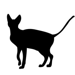 vector, vector, isolated silhouette cat, icon on white background