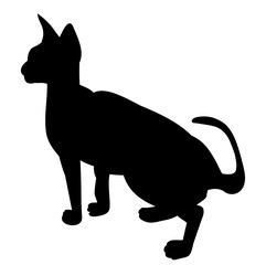 cat silhouette icon