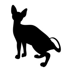 cat silhouette icon