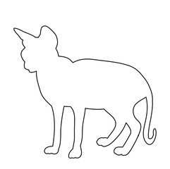 isolated outline of a cat on a white background