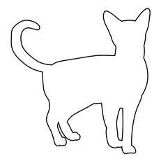 vector, isolated outline cat
