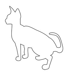cat outline on white background