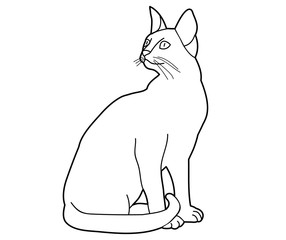 sketch of a cat sitting on a white background