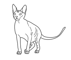  isolated sketch of a cat on a white background
