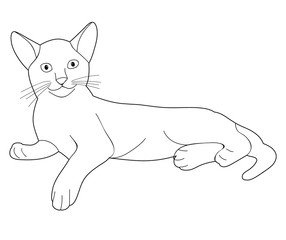 vector, isolated sketch a cat lies