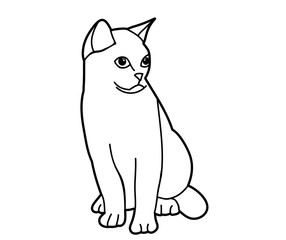 vector, isolated cat, pet, sketch