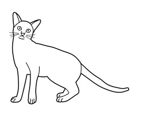 cat sketch on white background