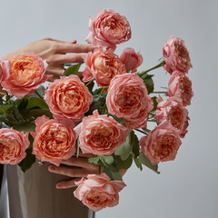Female hands hold a vase with pink roses on a gray background. A gift for women's day
