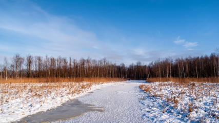 Biebrzański Park Narodowy zimą