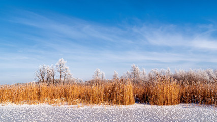 Biebrzański Park Narodowy zimą