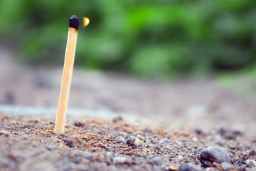 Matchstick fire in garden