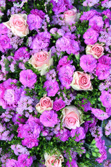 Rosen, Nelken, Blumenhintergrund, Wand