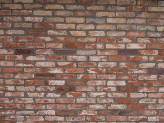 wall