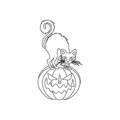 Jack-o-lantern pumpkin and cat