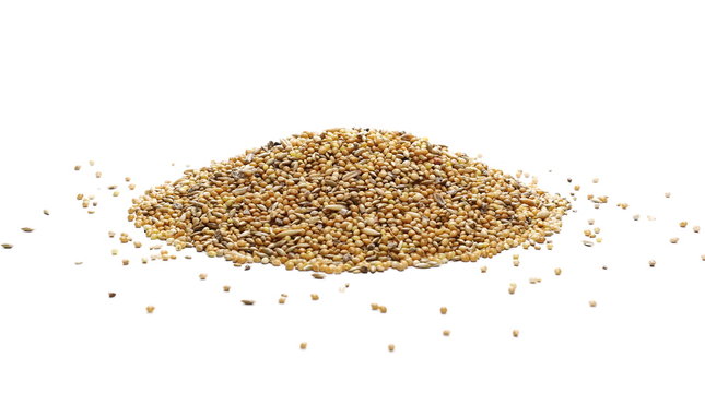 Mixed bird seeds, millet pile isolated on white background