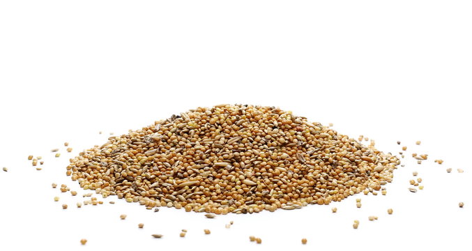 Mixed bird seeds, millet pile isolated on white background