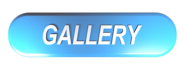 Blue rounded rectangle push button GALLERY - 3D rendering
